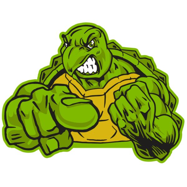 AR31 TURTLE 02 RQC Thumbnail